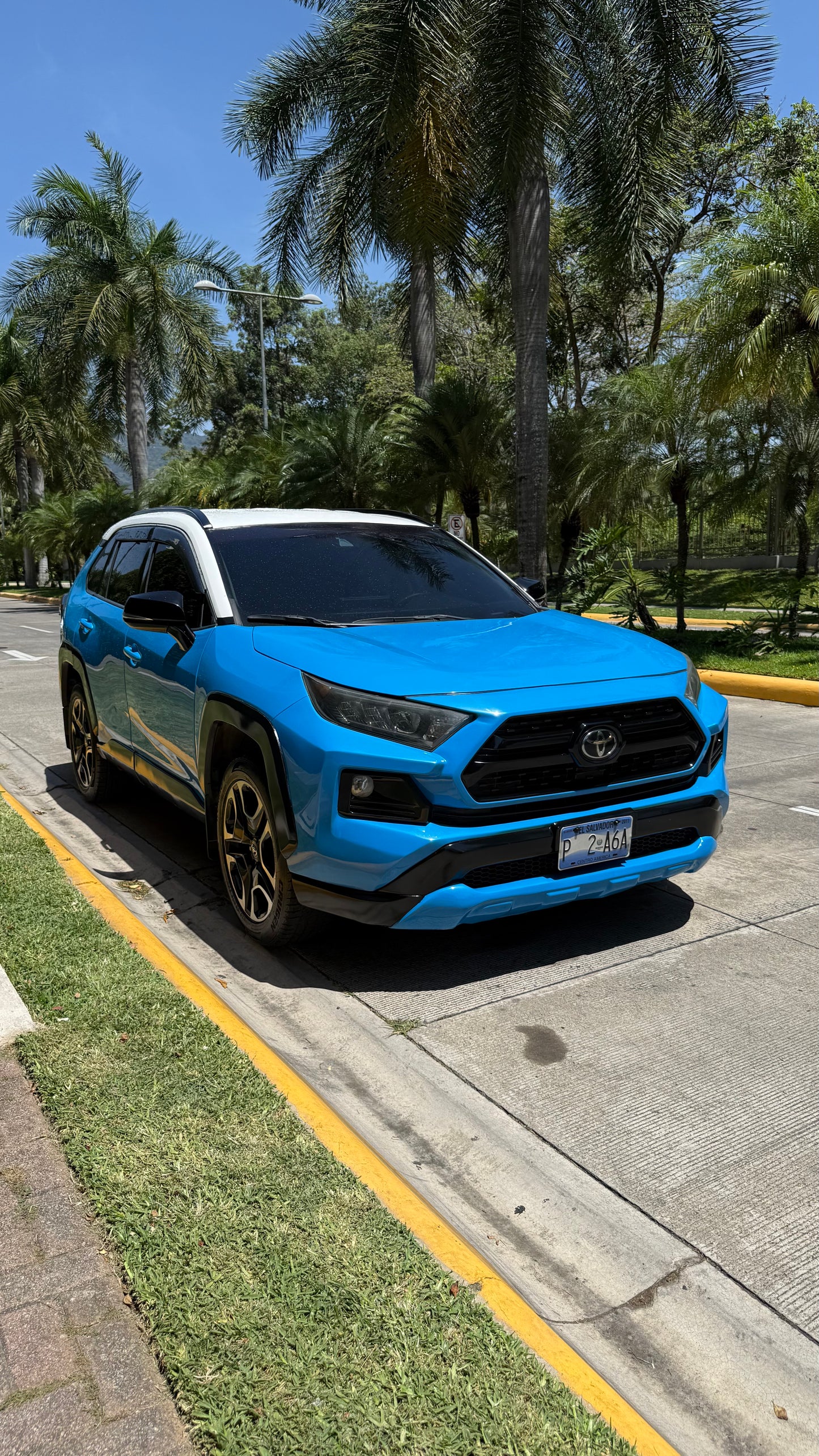 Toyota Rav4 Adventure 2019