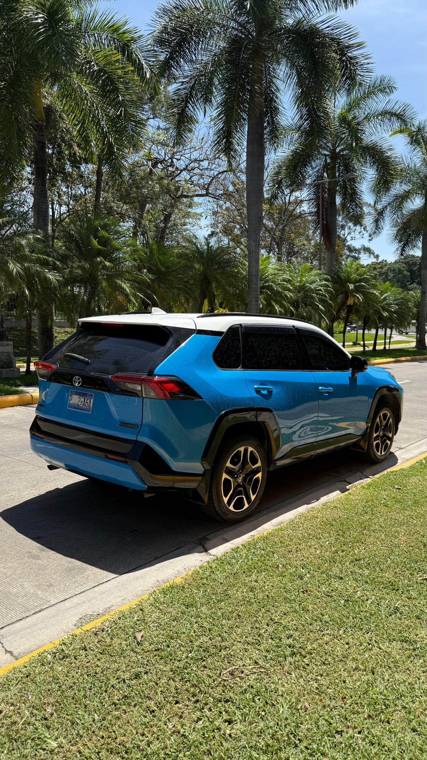 Toyota Rav4 Adventure 2019