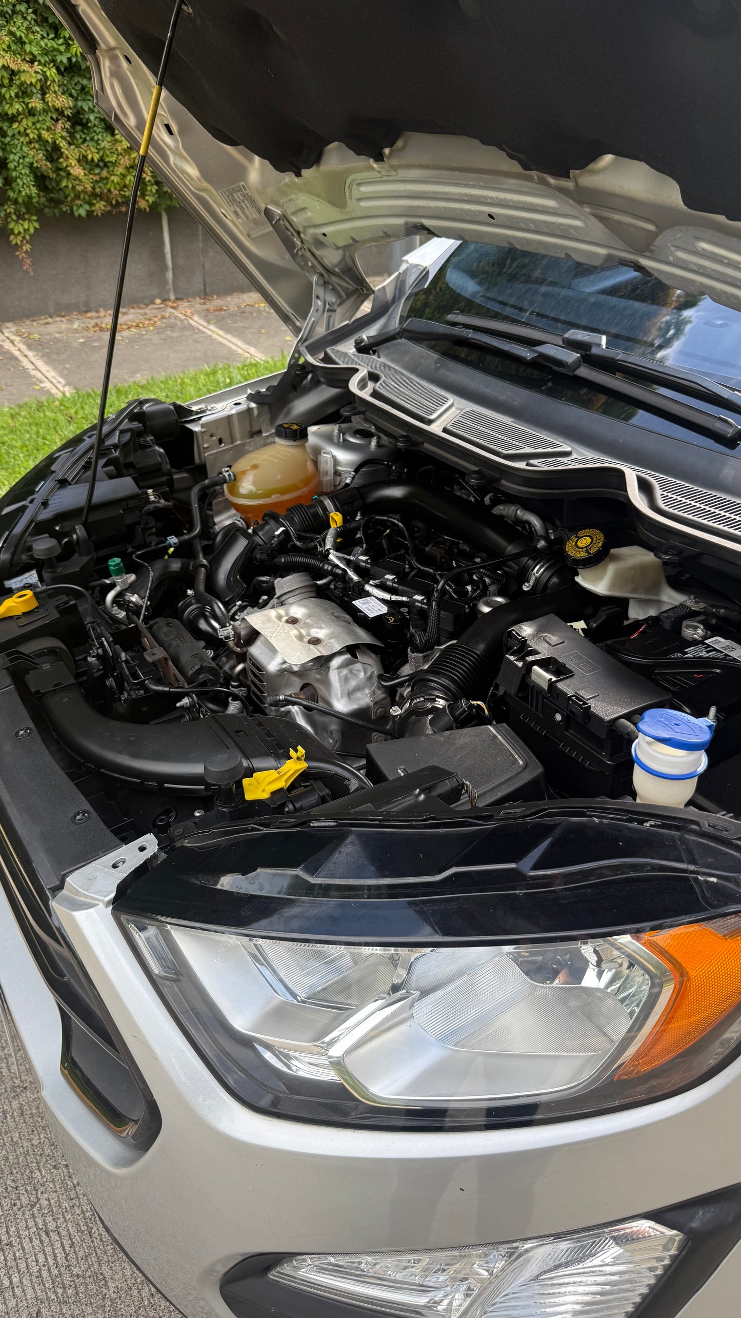 Ford Ecosport SE 2019