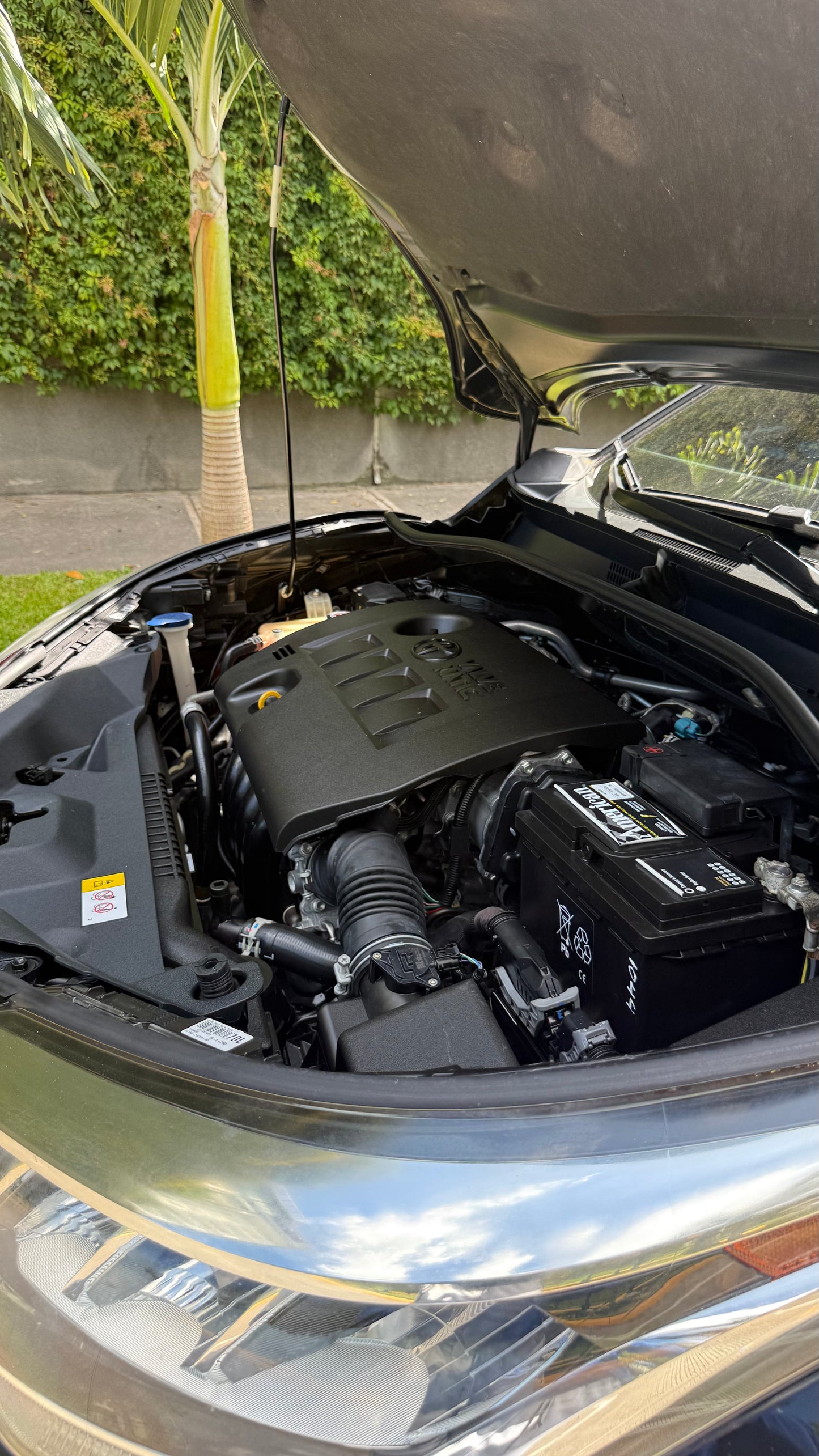 Toyota CH-R 2021